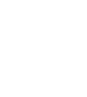 Trust Bitcoin – A Community-Driven DAO with 100% Redistribution